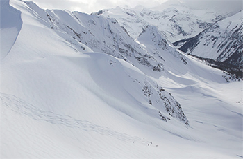 Wiegele Heliskiing - Albreda Lodge Programm